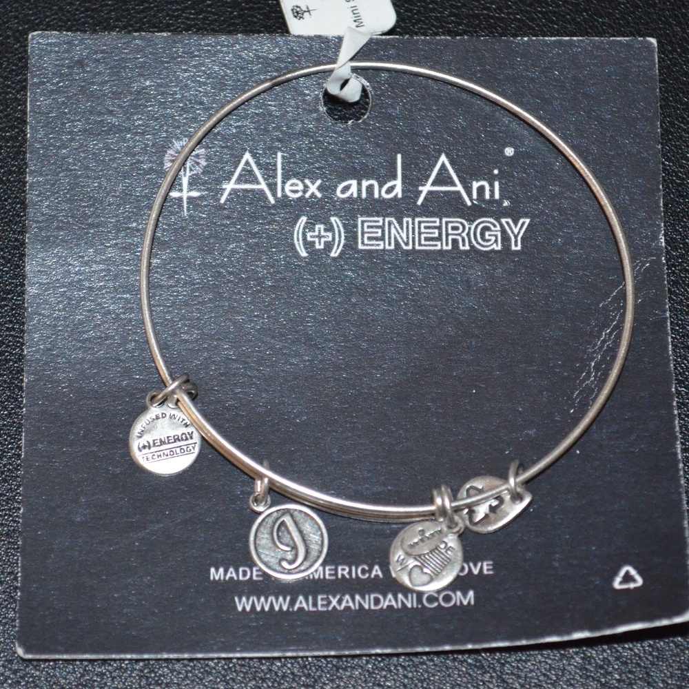 NWT ALEX AND ANI SILVER + POSITIVE ENERGY INITIAL CHARM BANGLE BRACELET